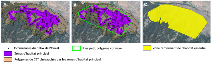 Représentation schématique de la méthode utilisée pour délimiter les zones renfermant de l'habitat essentiel