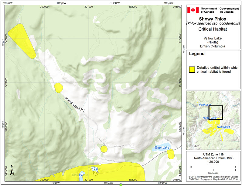 Critical habitat for Showy Phlox at Yellow Lake (north