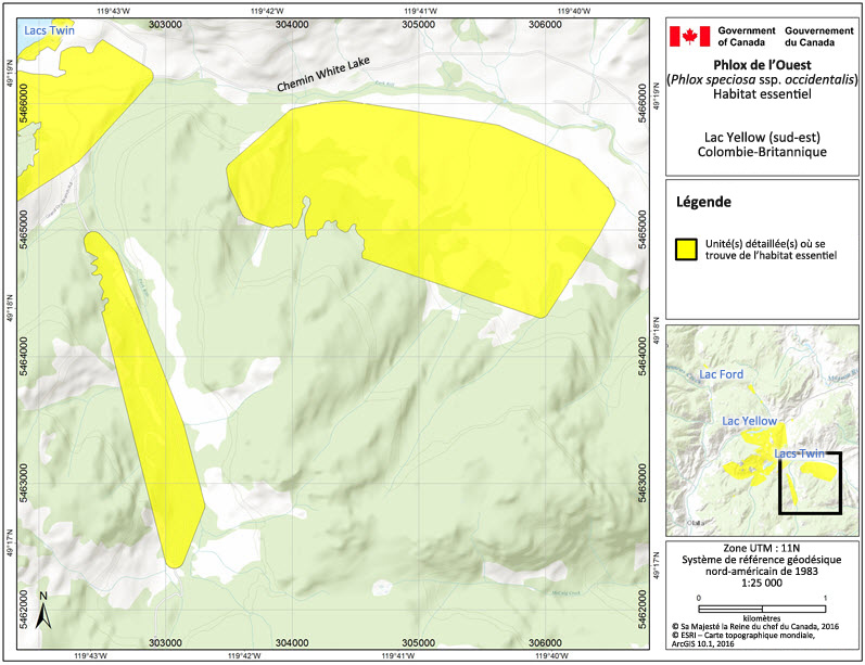Critical habitat for Showy Phlox at Yellow Lake (southeast)