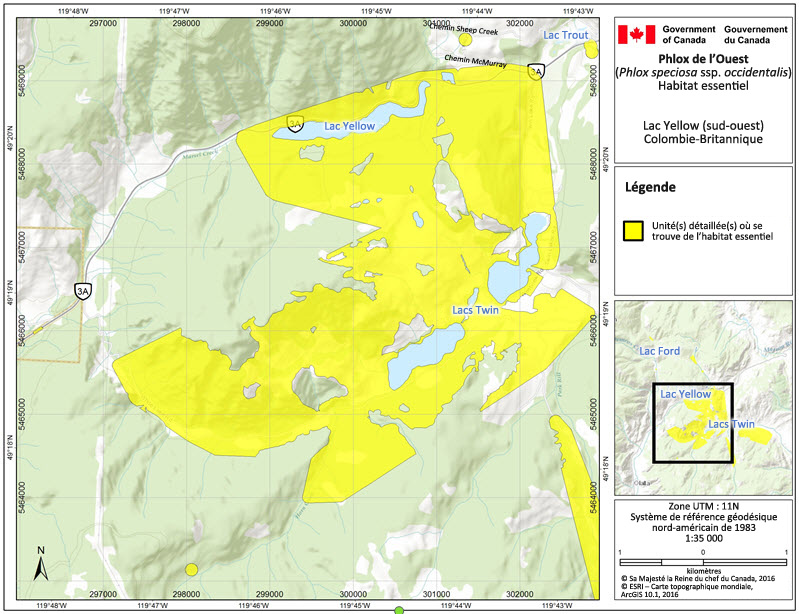 Critical habitat for Showy Phlox at Yellow Lake
