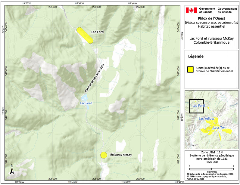 Critical habitat for Showy Phlox Critical habitat for Showy Phlox at Ford Lake