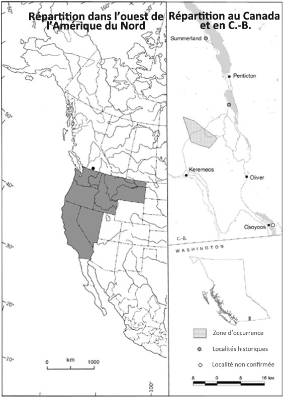 Répartition de toutes les occurrences connues de phlox de l'Ouest