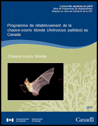 Photo de couverture partie 2 de document