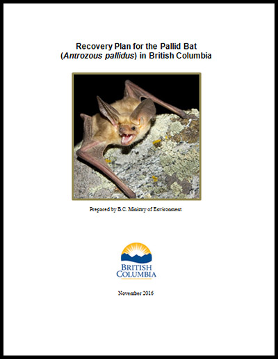 Photo of part 2 document cover