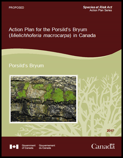 Cover of document
