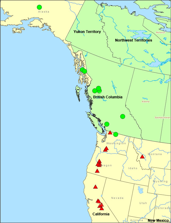 The distribution of Peltigera aquatica
