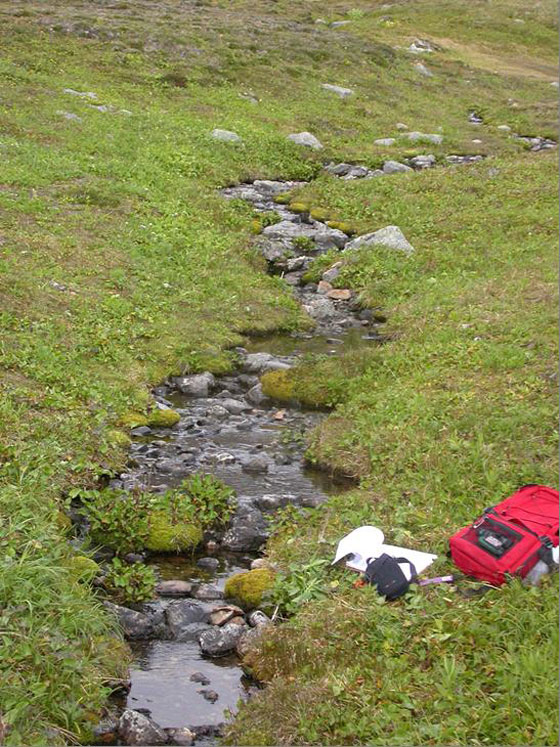 A stream on Hudson Bay Mountain