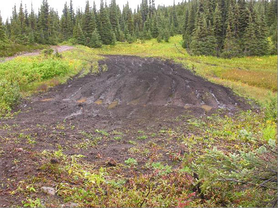 Mud bogging