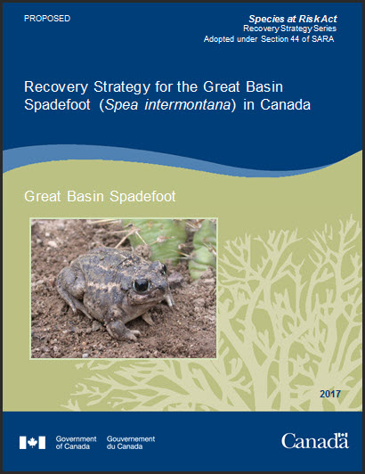 Recovery Strategy for the Great Basin Spadefoot