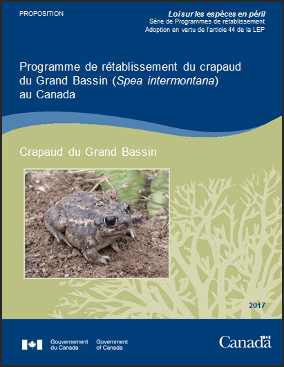 Programme de rétablissement du crapaud du Grand Bassin