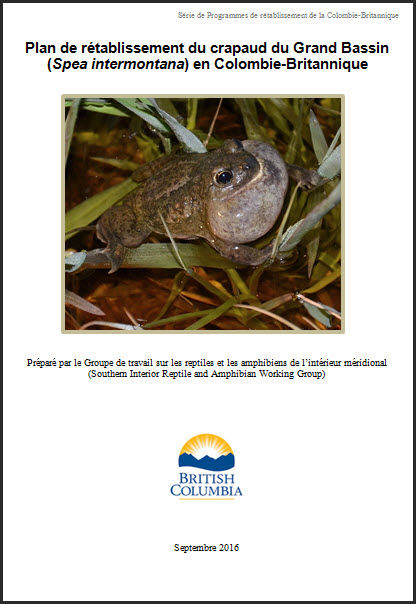 Plan de rétablissement du crapaud du Grand Bassin