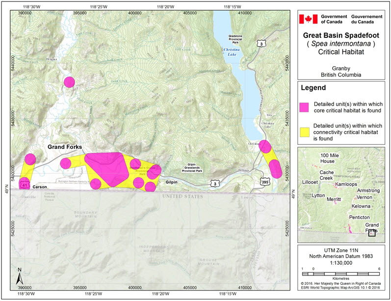 Critical habitat for the Great Basin Spadefoot in the Granby area of B.C.