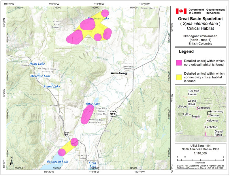 Critical habitat for the Great Basin Spadefoot in the Okanagan/Similkameen (north-map 1) area of B.C.