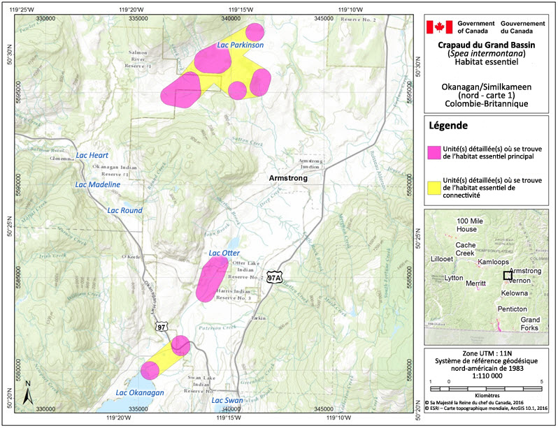 L'habitat essentiel du crapaud du Grand Bassin dans la région de l'Okanagan/de la Similkameen (nord, carte 1), en Colombie-Britannique