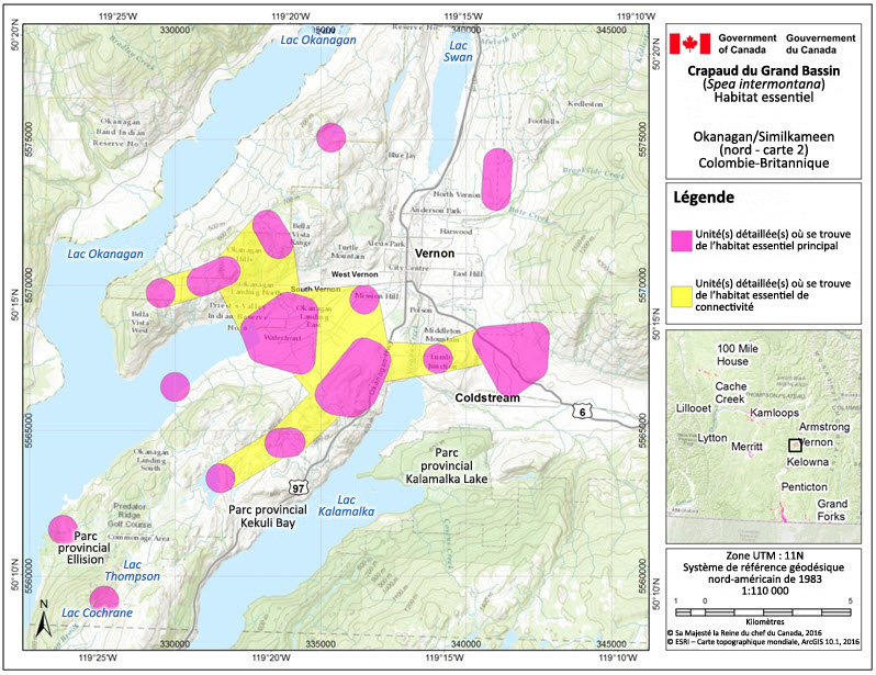 L'habitat essentiel du crapaud du Grand Bassin dans la région de l'Okanagan/de la Similkameen (nord, carte 2), en Colombie-Britannique