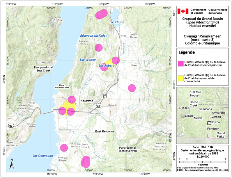 L'habitat essentiel du crapaud du Grand Bassin dans la région de l'Okanagan/de la Similkameen (nord, carte 3), en Colombie-Britannique