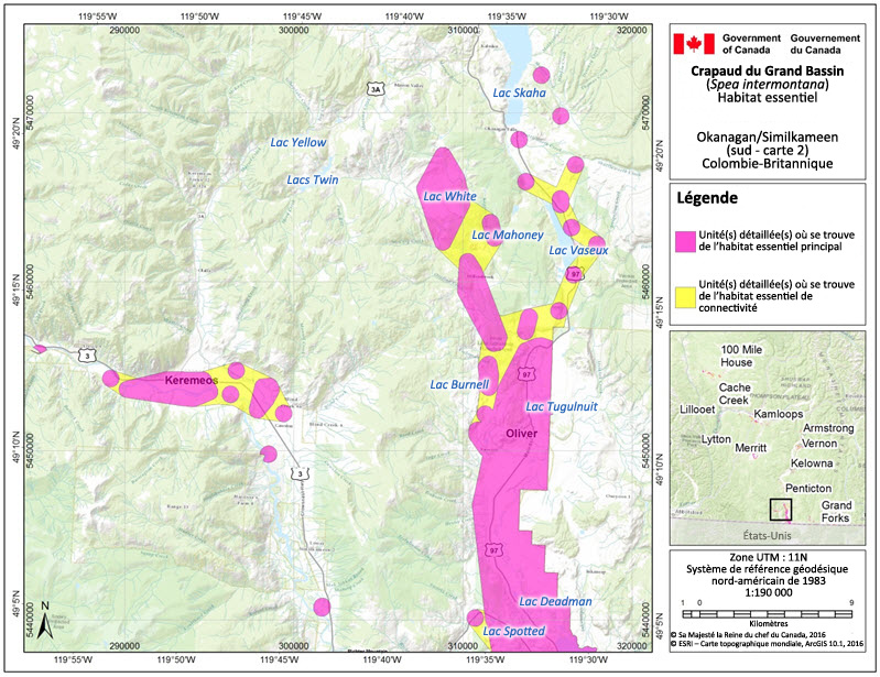 L'habitat essentiel du crapaud du Grand Bassin dans la région de l'Okanagan/de la Similkameen (sud, carte 2), en Colombie-Britannique