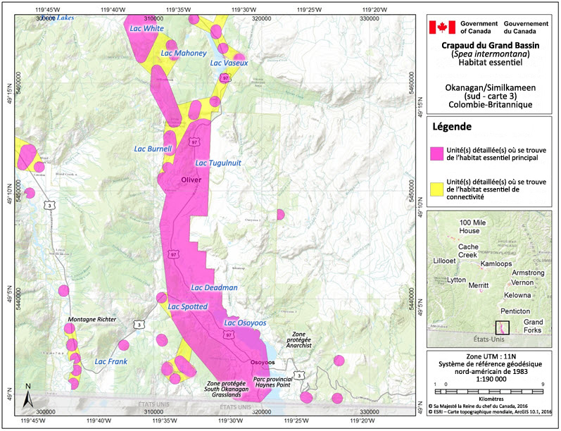 L'habitat essentiel du crapaud du Grand Bassin dans la région de l'Okanagan/de la Similkameen (sud, carte 3), en Colombie-Britannique