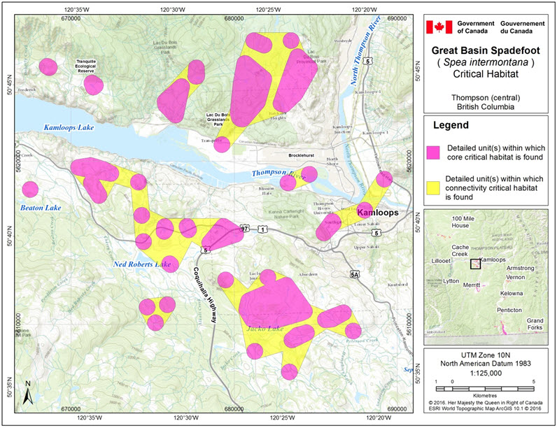 Critical habitat for the Great Basin Spadefoot  in the Thompson (central) area of B.C.