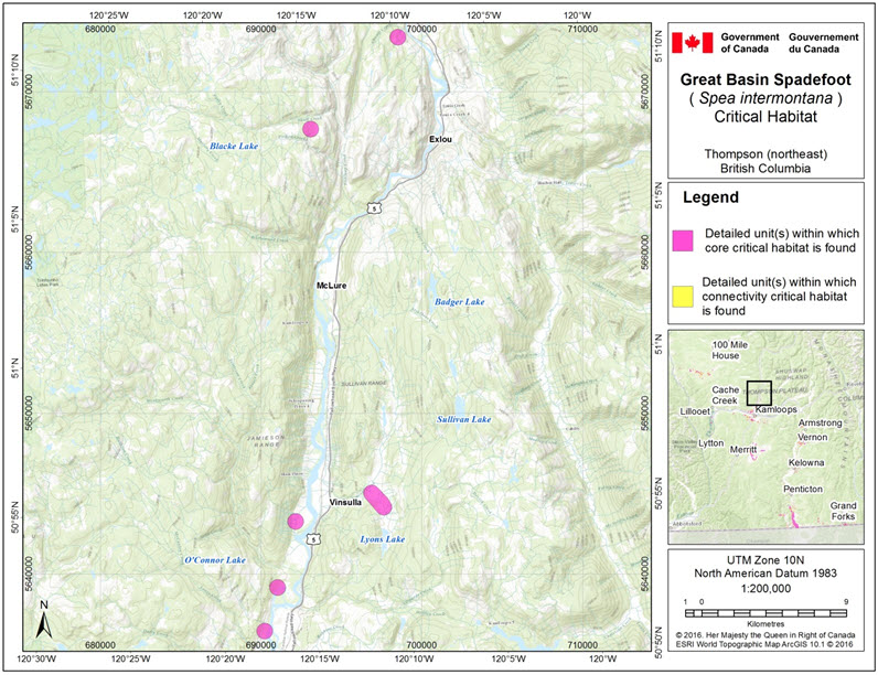 Critical habitat for the Great Basin Spadefoot  in the Thompson (northeast) area of B.C.