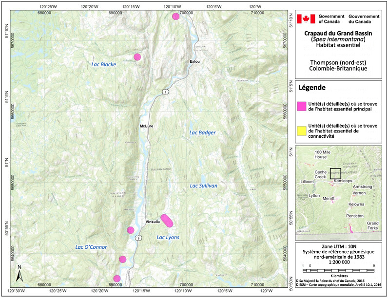 L'habitat essentiel du crapaud du Grand Bassin dans la région de Thompson (nord est), en Colombie-Britannique