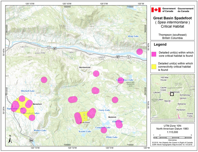 Critical habitat for the Great Basin Spadefoot  in the Thompson (southeast) area of B.C.