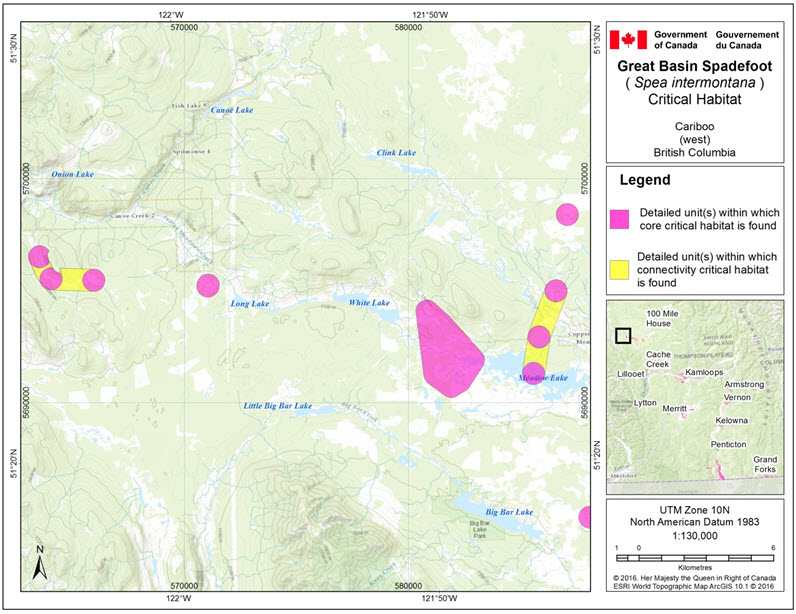 Critical habitat for the Great Basin Spadefoot  in the Cariboo (west) area of B.C.