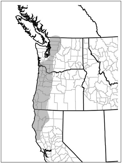 Global distribution of the  Pacific Giant Salamander