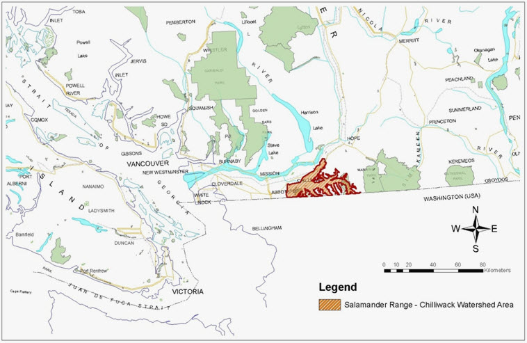 Distribution of the Pacific  Giant Salamander