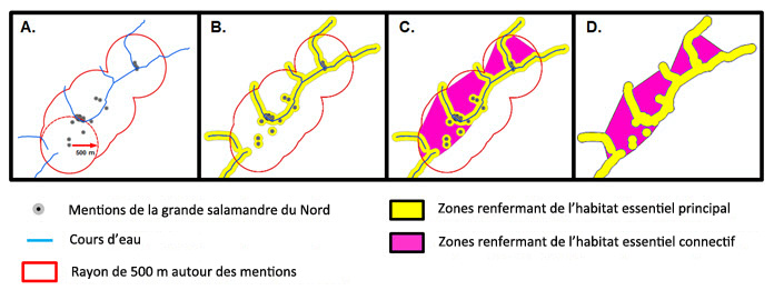 Schématisation de la méthodologie