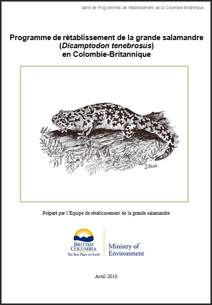 Photographie : Plan de gestion du vertigo à crêtes fines