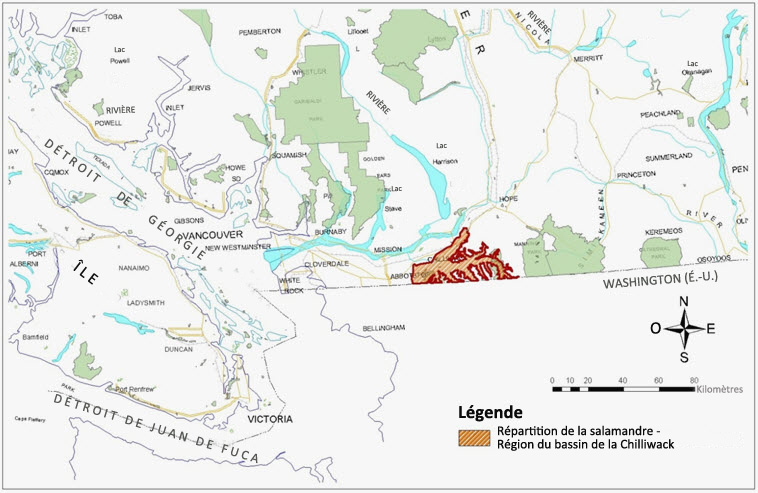 Répartition de la grande salamandre
