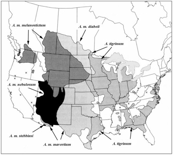 Aire de répartition nord américaine de la salamandre tigrée de l'Ouest