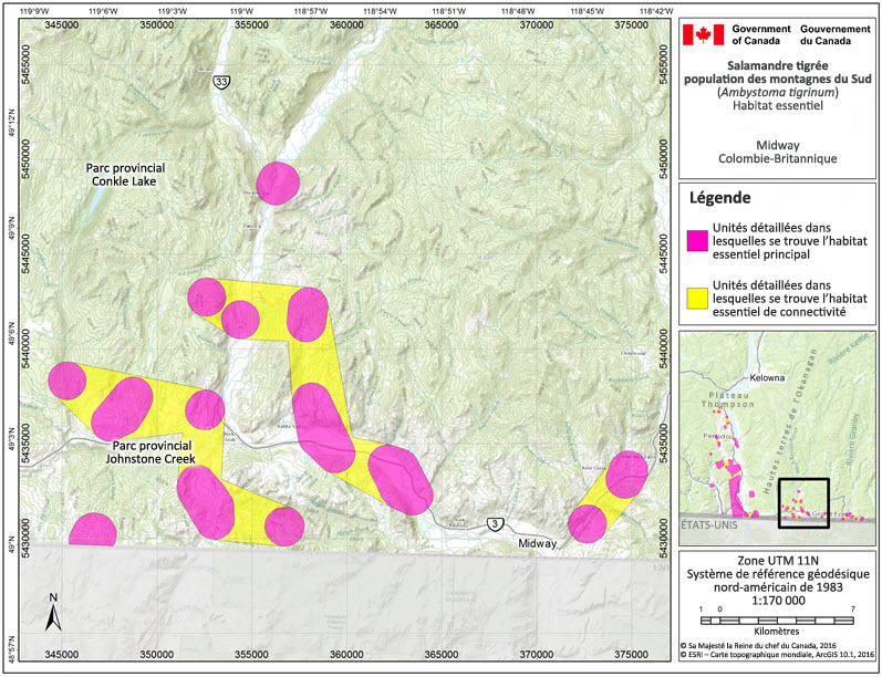 L'habitat essentiel de la salamandre tigrée, population des montagnes du Sud dans la région de Midway