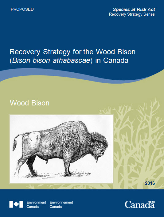 Recovery Strategy for the Wood Bison