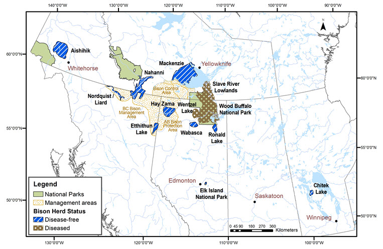 Location of free-ranging Wood Bison local populations