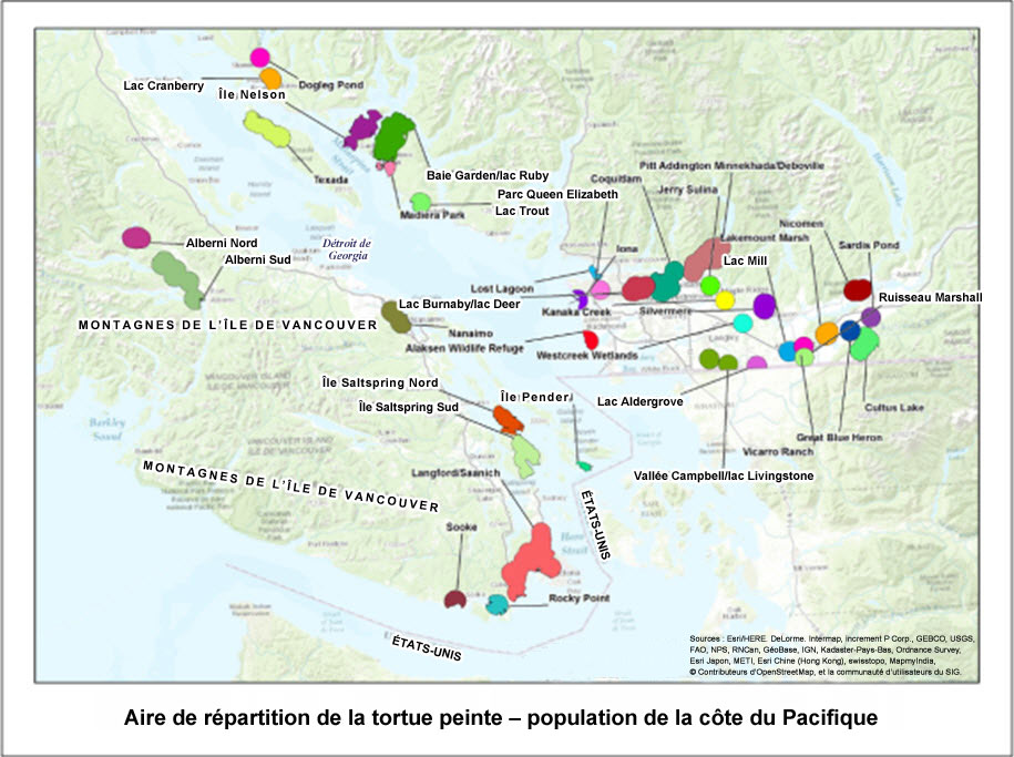 Carte de l’aire de répartition de  la tortue peinte - population de la côte du Pacifique