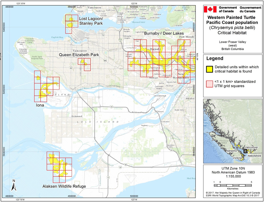 Critical habitat for Western Painted Turtle, populations #1, #3, #8, #12, and #17 in the Lower Fraser Valley (west) area, B.C.
