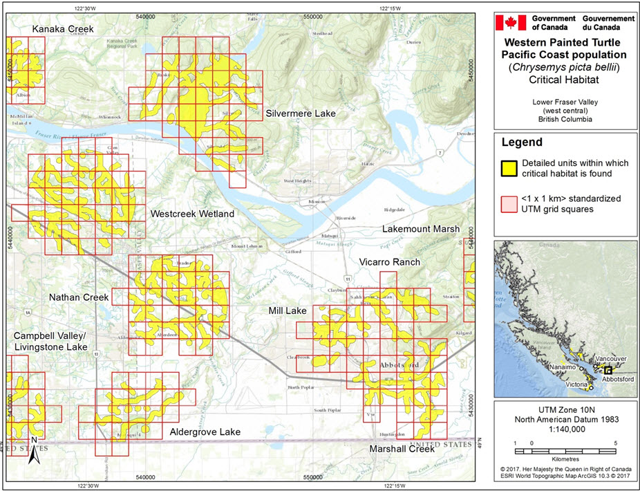 Critical habitat for Western Painted Turtle, populations #2, #4, #10, #11, #13, #14, #19, #20, #21, and #38 in the Lower Fraser Valley (west central) area, B.C.