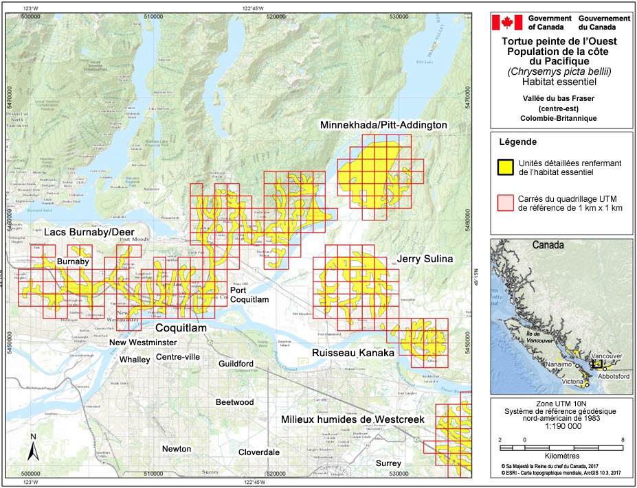 L’habitat essentiel des populations de tortues peintes de l’Ouest nos 3, 5, 9, 10, 15 et 21, dans la région de la vallée du bas Fraser (centre-est), en Colombie-Britannique