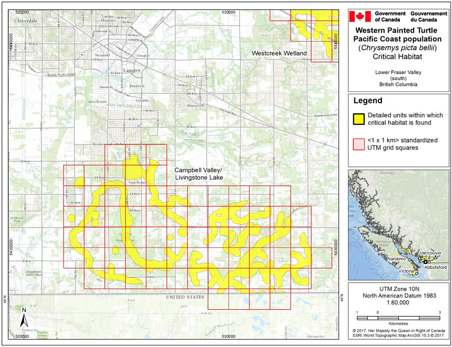 Critical habitat for Western Painted Turtle population #4 and population #21 in the Lower Fraser Valley (south) area, B.C.