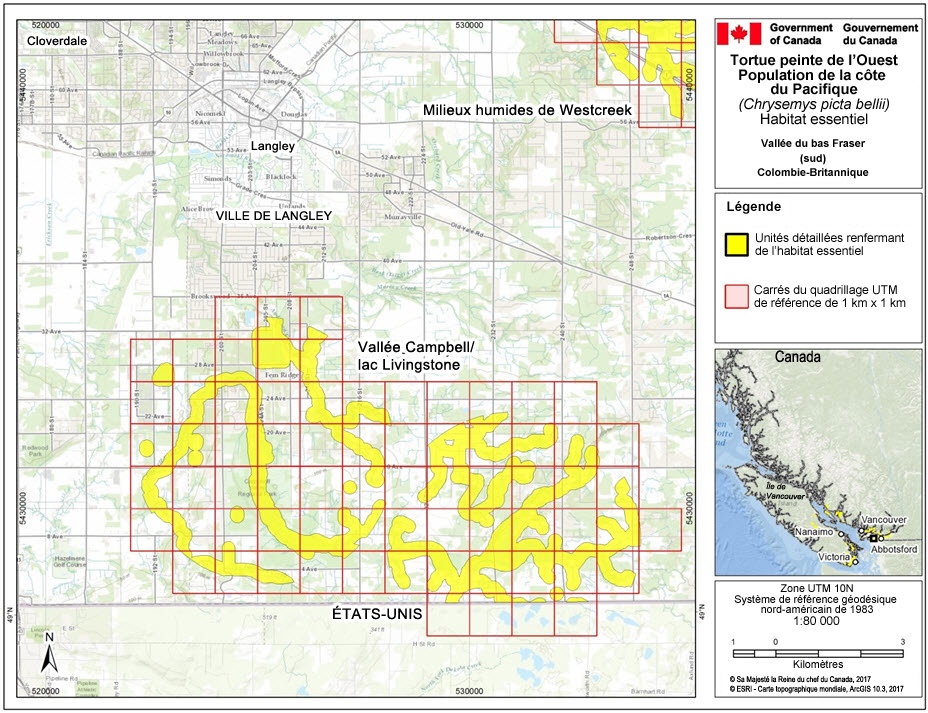 L’habitat essentiel des populations de tortues peintes de l’Ouest nos 4 et 21, dans la région de la vallée du bas Fraser (sud), en Colombie-Britannique