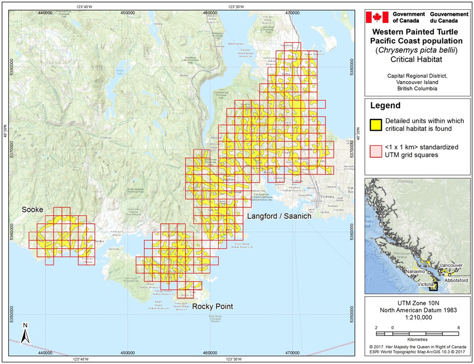 Critical habitat for Western Painted Turtle populations #22, #24, and #25 in the Capital Regional District, Vancouver Island area, B.C.