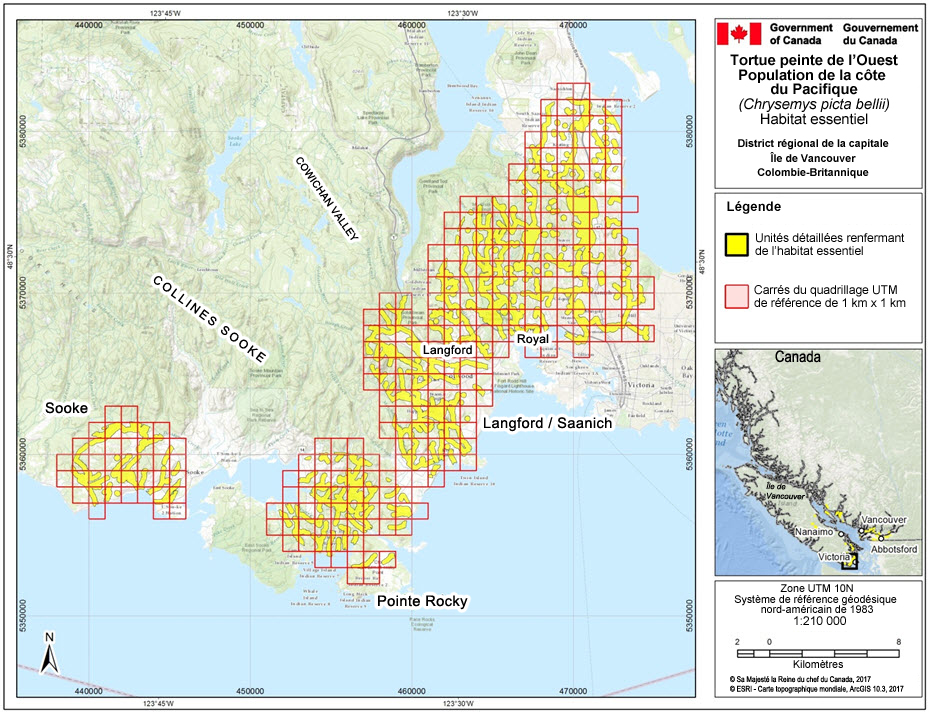 L’habitat essentiel des populations de tortues peintes de l’Ouest nos 22, 24 et 25, dans le district régional de la capitale, dans la région de l’île de Vancouver