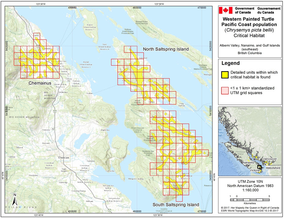 Critical habitat for Western Painted Turtle populations #26, #27, and #41 in the Alberni Valley, Nanaimo, and Gulf Islands (southeast) area, B.C.