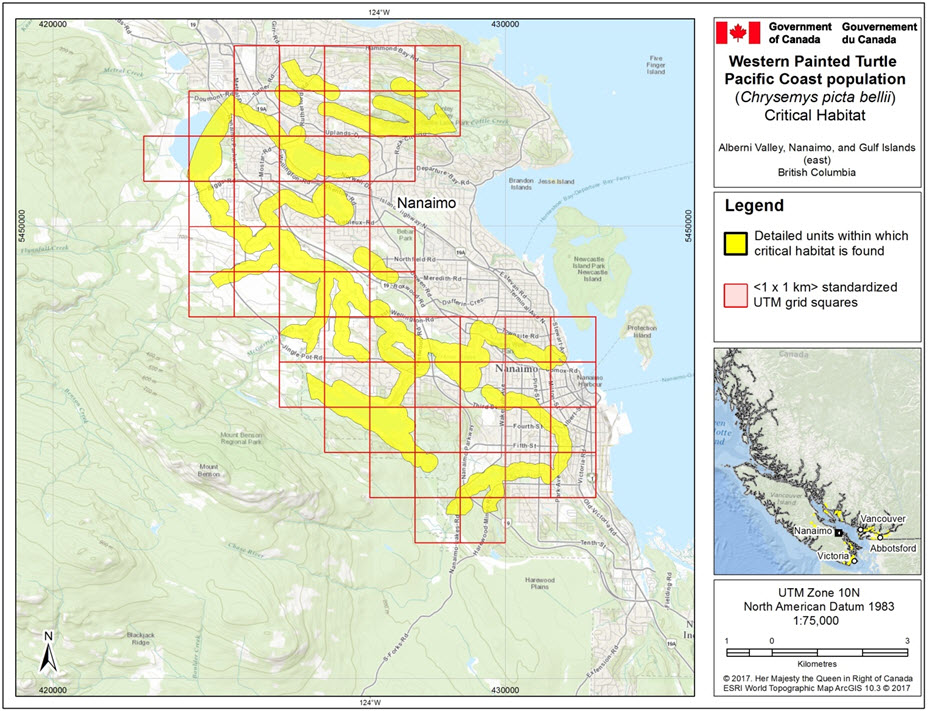 Recovery Strategy for the Western Painted Turtle (Chrysemys picta