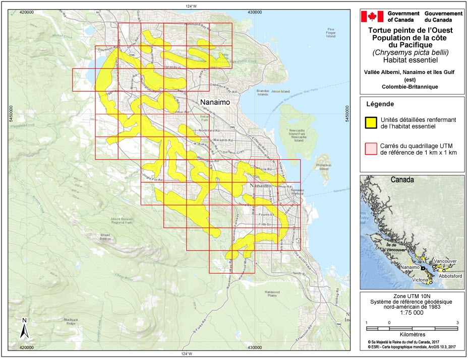 L’habitat essentiel de la population de tortues peintes de l’Ouest no 33, dans la région de la vallée Alberni, de Nanaimo et des îles Gulf (est), en Colombie-Britannique