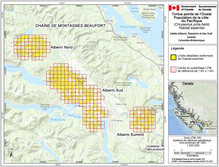 L’habitat essentiel des populations de tortues peintes de l’Ouest nos 35, 36 et 39, dans la région de la vallée Alberni, de Nanaimo et des îles Gulf (ouest), en Colombie-Britannique