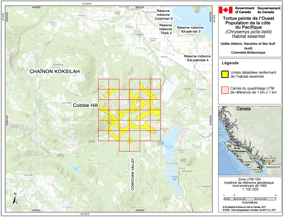 L’habitat essentiel de la population de tortues peintes de l’Ouest no 39, dans la région de la vallée Alberni, de Nanaimo et des îles Gulf (sud), en Colombie-Britannique