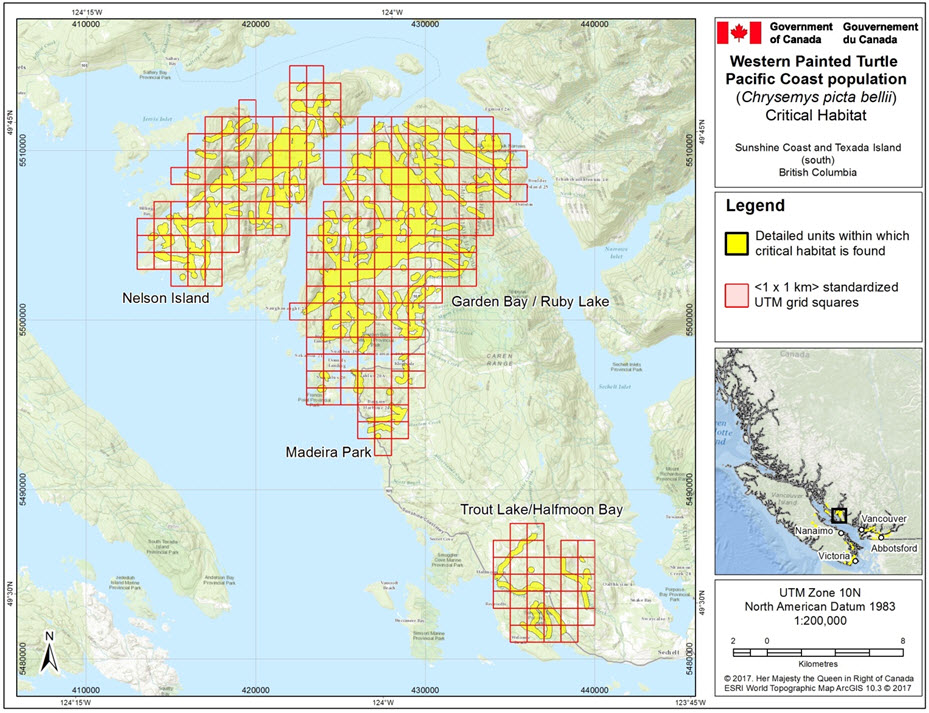 Critical habitat for Western Painted Turtle populations #28, #31, #32, and #34 in the Sunshine Coast and Texada Island (south) area, B.C.